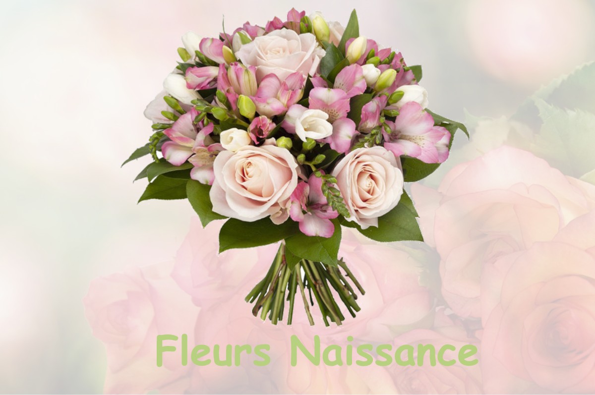 fleurs naissance SAINT-AUBIN-DE-LANQUAIS